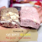 Homemade Quest Bars-main-photo