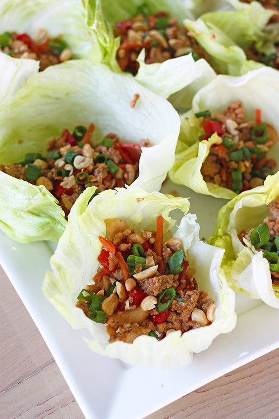 asian-turkey-lettuce-wraps-busy-but-healthy